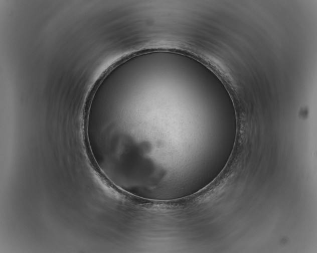 X0000091070942200708201406