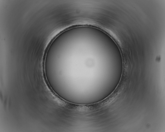 X0000091070943200708201406