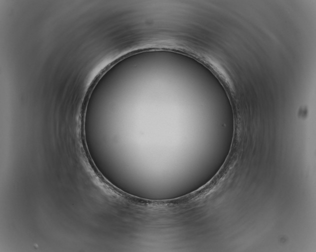 X0000091070944200708201406