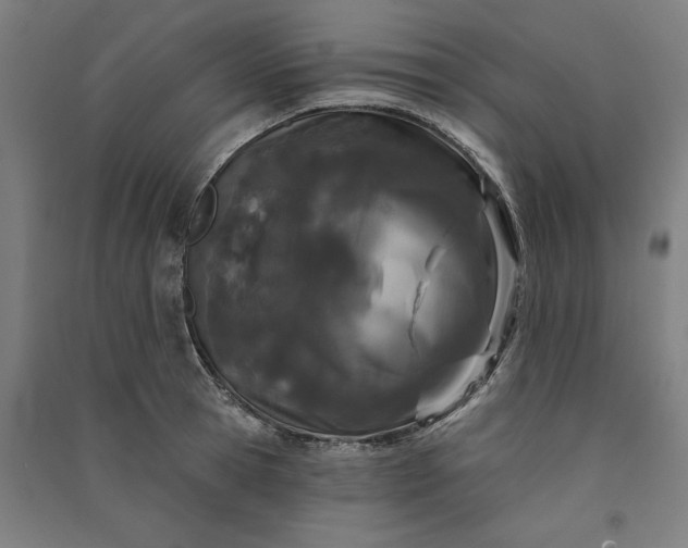 X0000091070945200708201406