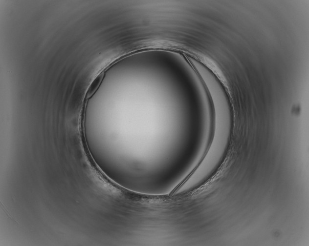 X0000091070946200708201406