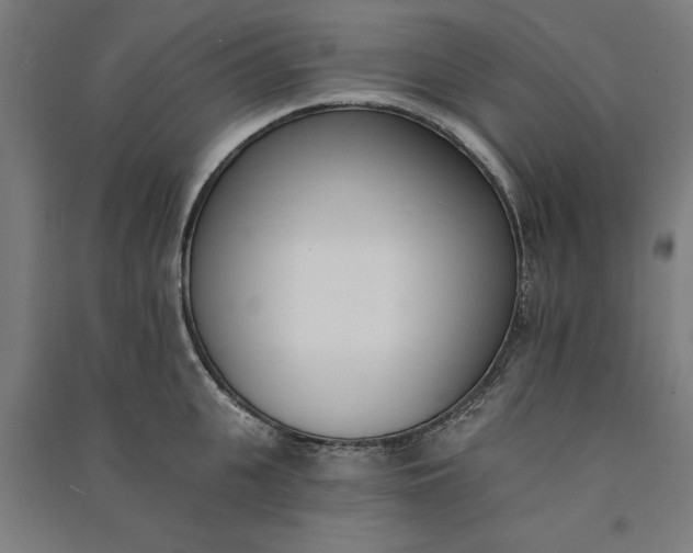 X0000091070951200708201406