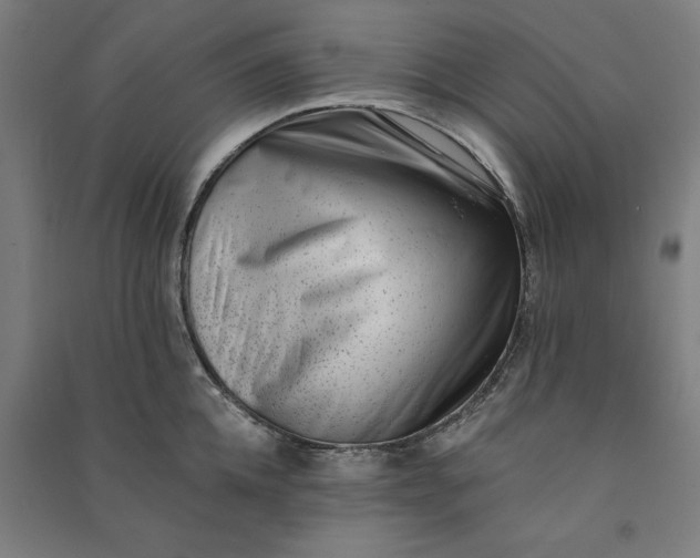 X0000091070952200708201406