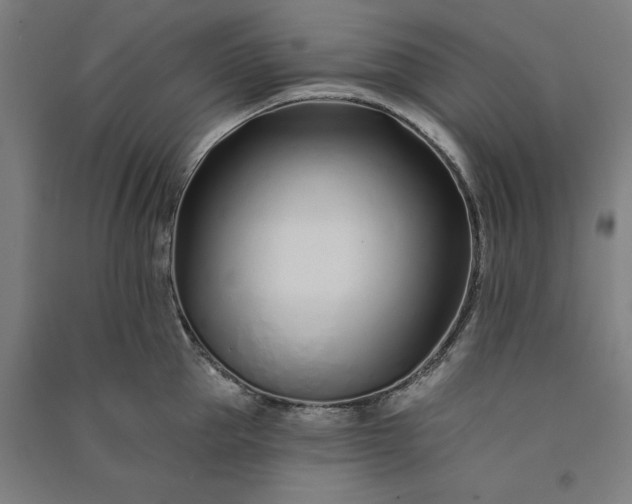 X0000091070953200708201406