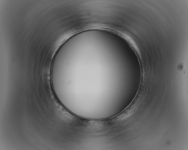 X0000091070954200708201406