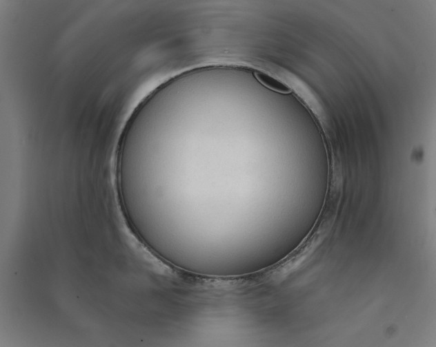 X0000091070958200708201406