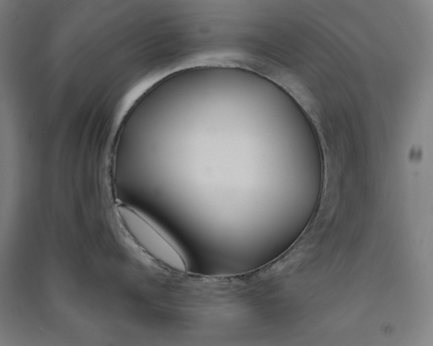 X0000091070960200708201406