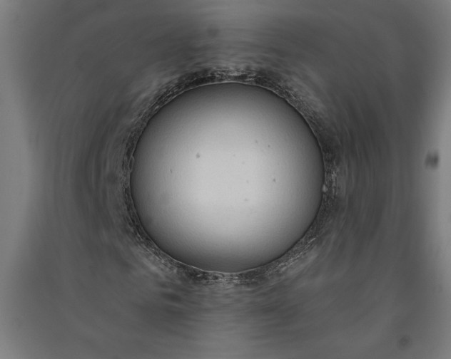 X0000091070961200708201406