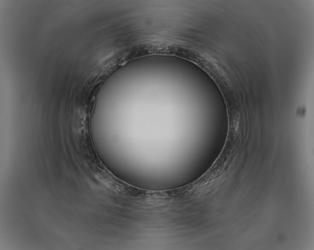 X0000091070964200708201406