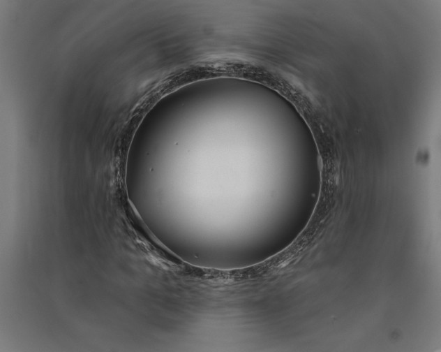 X0000091070965200708201406