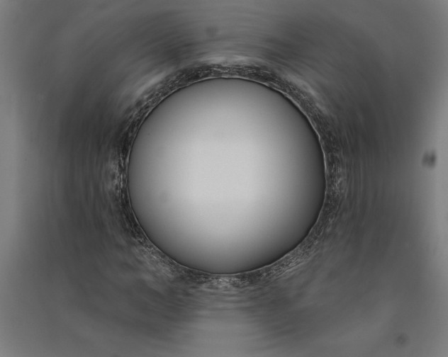 X0000091070966200708201406