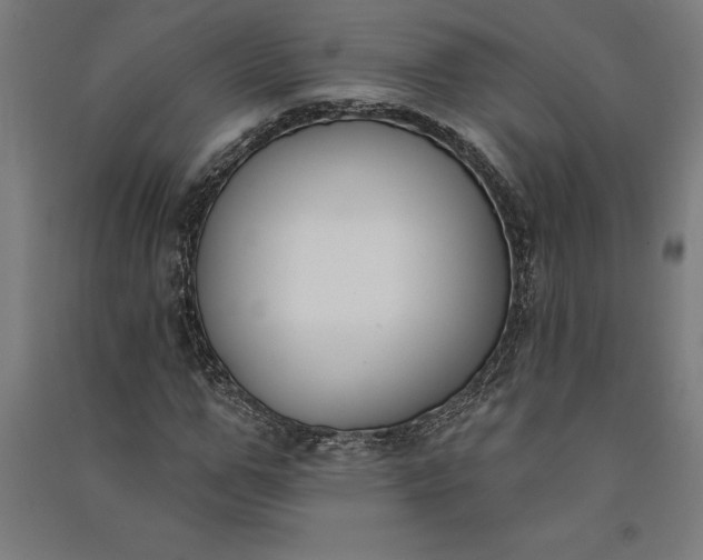 X0000091070967200708201406