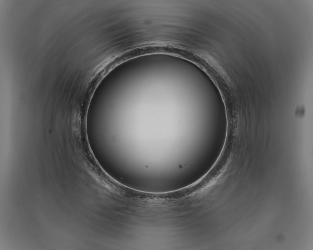 X0000091070969200708201406