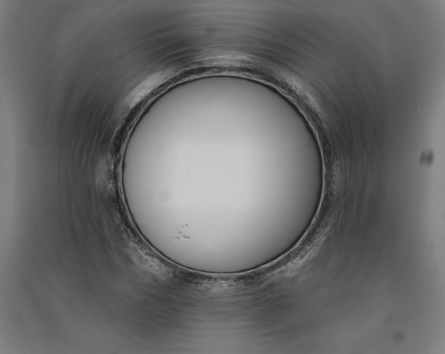 X0000091070970200708201406