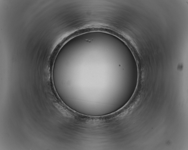 X0000091070973200708201405