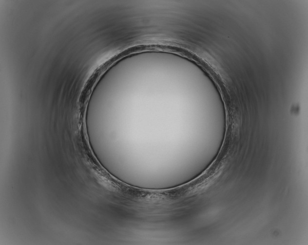 X0000091070974200708201405