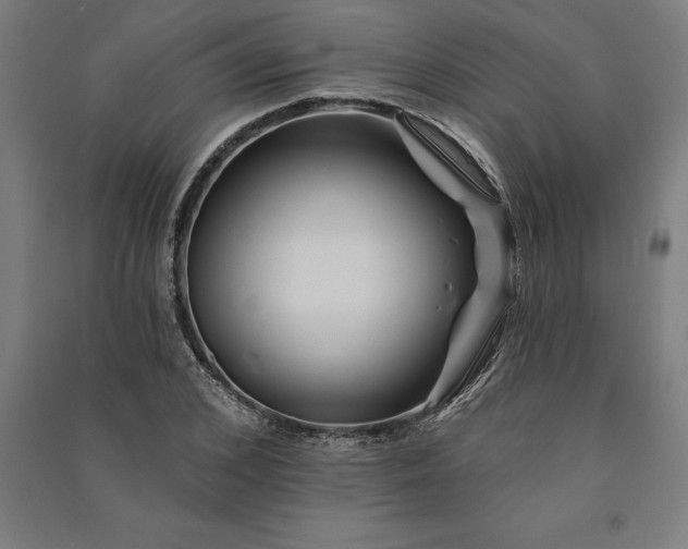 X0000091070976200708201405