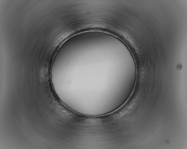 X0000091070977200708201405