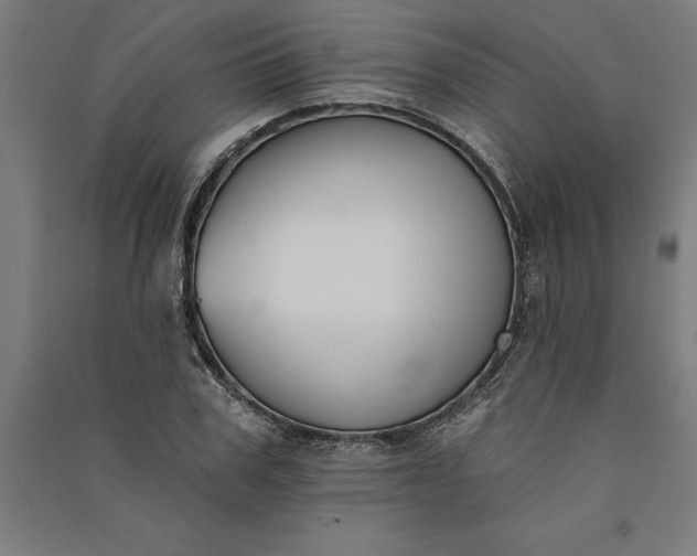 X0000091070979200708201405