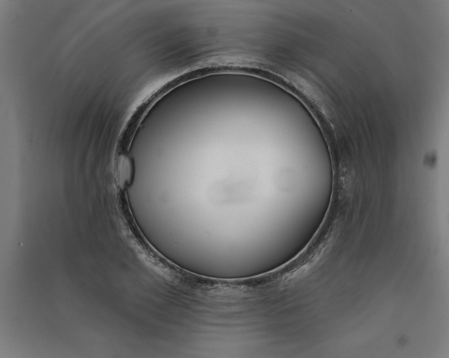 X0000091070981200708201405