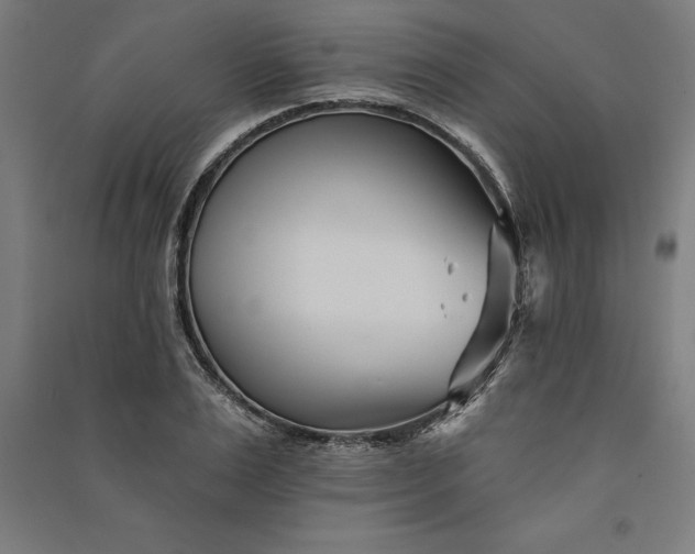 X0000091070983200708201405