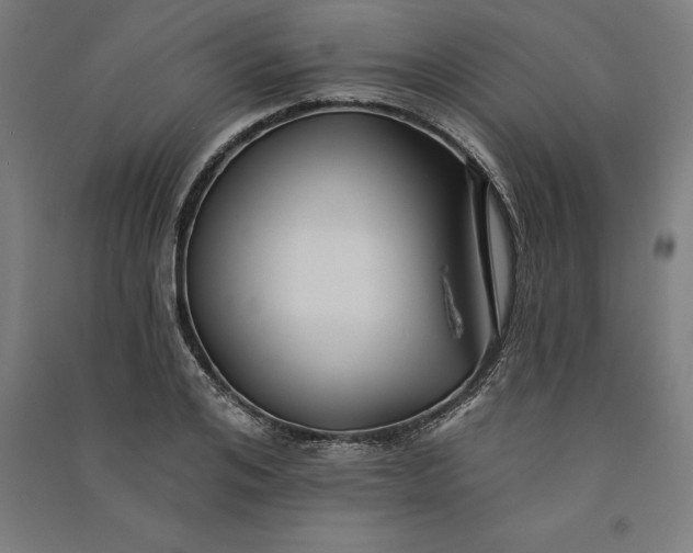 X0000091070984200708201405