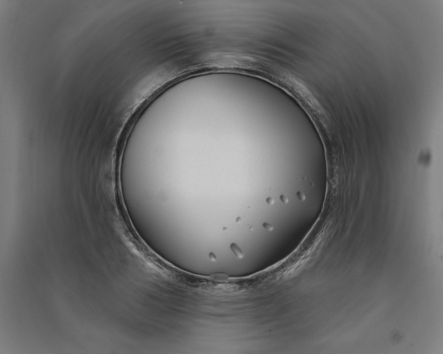 X0000091070986200708201405