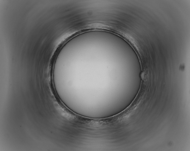 X0000091070987200708201405