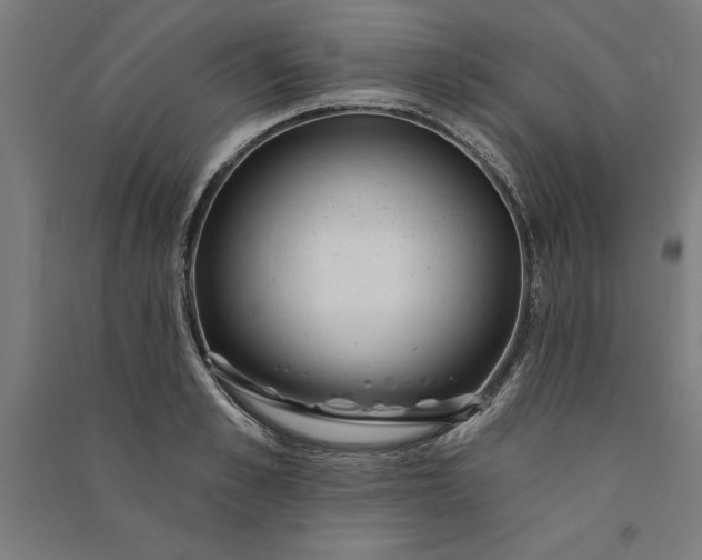 X0000091070989200708201405