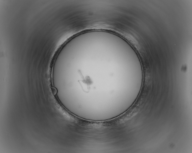 X0000091070990200708201405