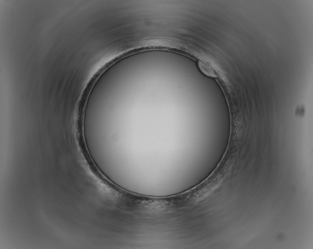 X0000091070991200708201405