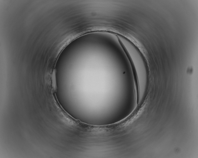 X0000091070993200708201405