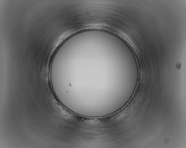 X0000091070994200708201405