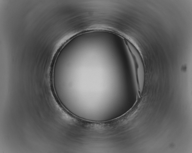 X0000091070995200708201405