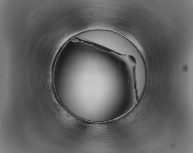 X0000091070996200708201405