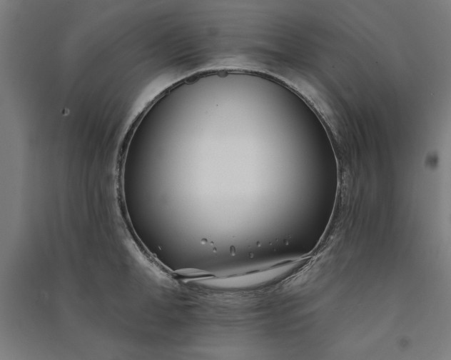 X0000091070998200708201405