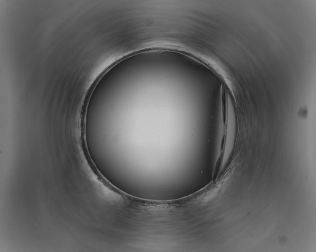 X0000091070999200708201405