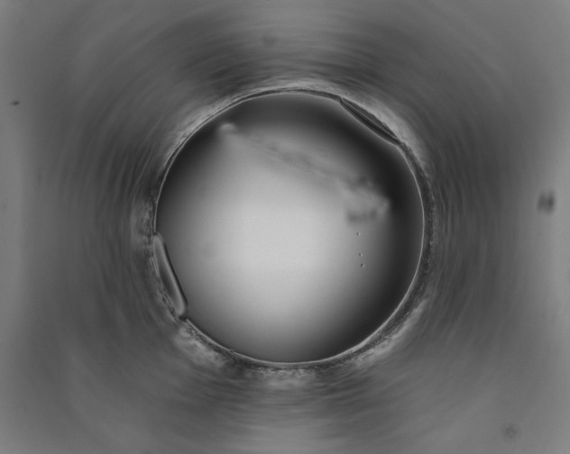 X0000091071001200708201405