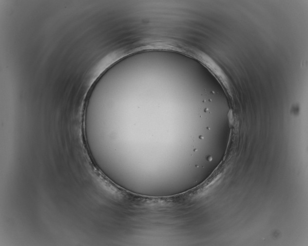 X0000091071002200708201405