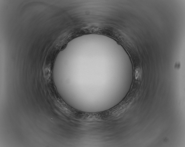 X0000091071011200708201404