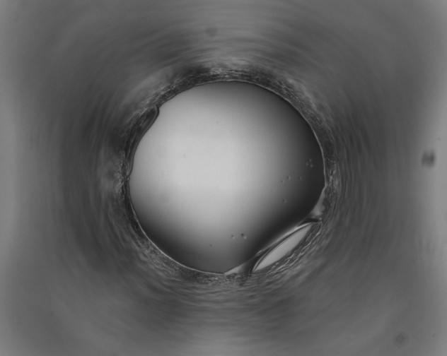 X0000091071012200708201404