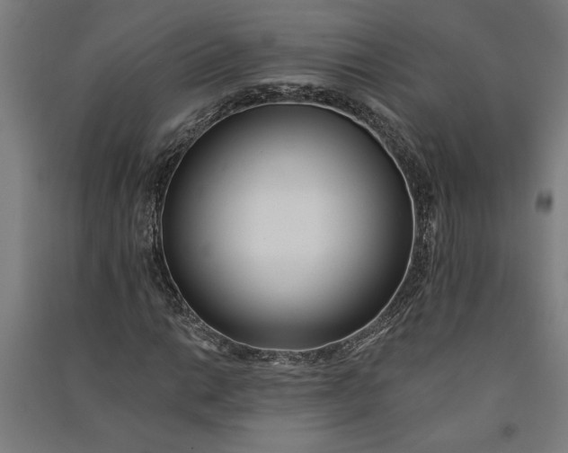 X0000091071014200708201404