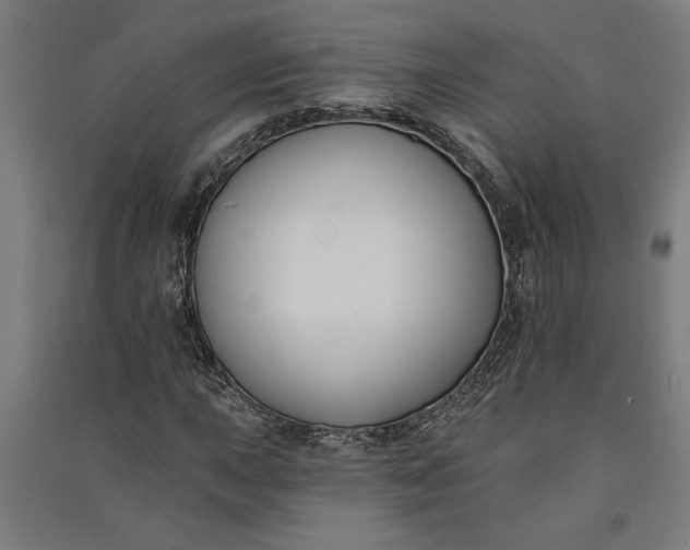 X0000091071015200708201404