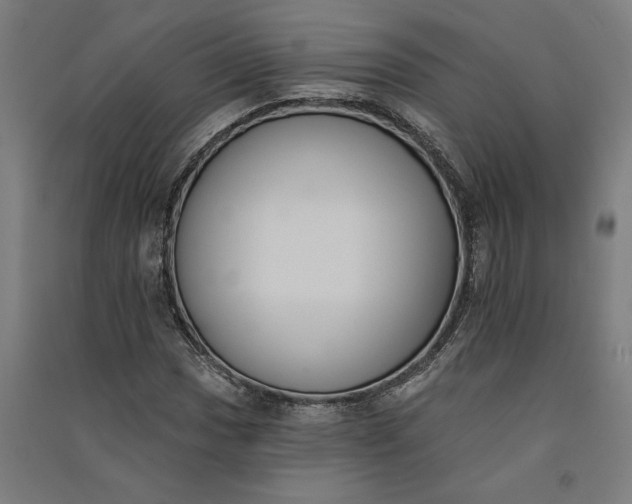 X0000091071017200708201404