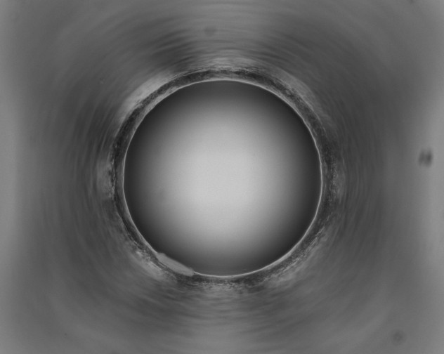 X0000091071018200708201404