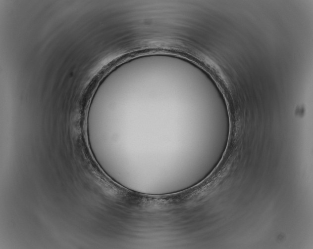 X0000091071019200708201404