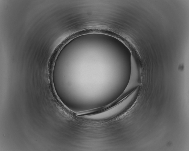 X0000091071022200708201404