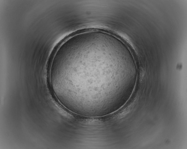 X0000091071024200708201405