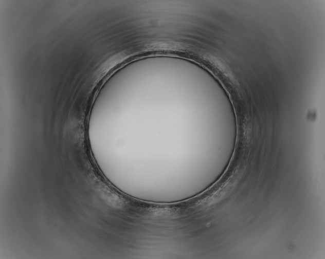 X0000091071025200708201405