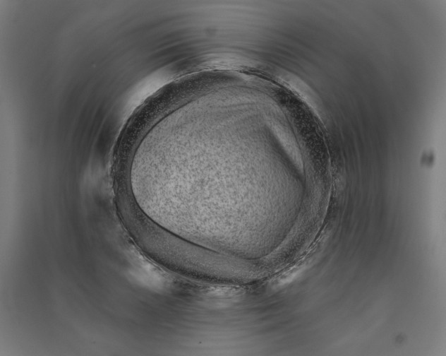 X0000091071026200708201405